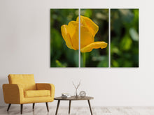 Laden Sie das Bild in den Galerie-Viewer, Leinwandbild 3-teilig Gelbe Tulpe XL