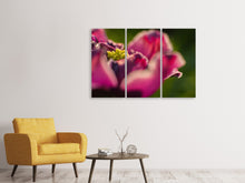 Laden Sie das Bild in den Galerie-Viewer, Leinwandbild 3-teilig Makro Tulpe in rot