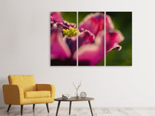 Laden Sie das Bild in den Galerie-Viewer, Leinwandbild 3-teilig Makro Tulpe in rot