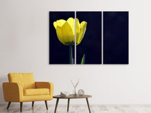 Laden Sie das Bild in den Galerie-Viewer, Leinwandbild 3-teilig Leuchtende Tulpe