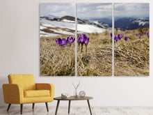 Laden Sie das Bild in den Galerie-Viewer, Leinwandbild 3-teilig Lila Krokus