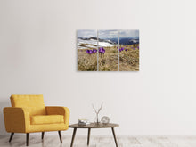 Laden Sie das Bild in den Galerie-Viewer, Leinwandbild 3-teilig Lila Krokus