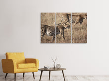 Laden Sie das Bild in den Galerie-Viewer, Leinwandbild 3-teilig 2 Leoparden