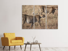 Laden Sie das Bild in den Galerie-Viewer, Leinwandbild 3-teilig 2 Leoparden