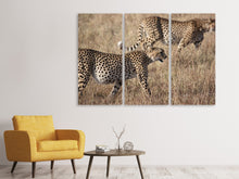 Laden Sie das Bild in den Galerie-Viewer, Leinwandbild 3-teilig 2 Leoparden