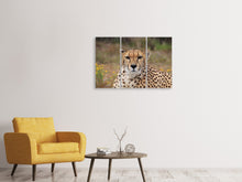 Laden Sie das Bild in den Galerie-Viewer, Leinwandbild 3-teilig Gepard XL