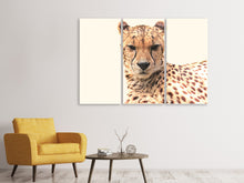 Laden Sie das Bild in den Galerie-Viewer, Leinwandbild 3-teilig Gepard in der Sonne