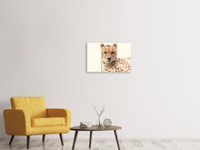 Laden Sie das Bild in den Galerie-Viewer, Leinwandbild 3-teilig Gepard in der Sonne