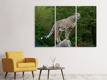 Laden Sie das Bild in den Galerie-Viewer, Leinwandbild 3-teilig Gepard auf dem Sprung