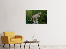 Laden Sie das Bild in den Galerie-Viewer, Leinwandbild 3-teilig Gepard auf dem Sprung