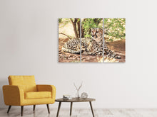 Laden Sie das Bild in den Galerie-Viewer, Leinwandbild 3-teilig Sonnender Gepard