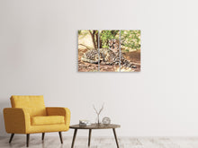 Laden Sie das Bild in den Galerie-Viewer, Leinwandbild 3-teilig Sonnender Gepard