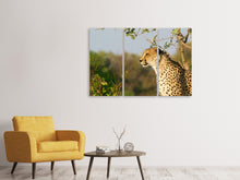 Laden Sie das Bild in den Galerie-Viewer, Leinwandbild 3-teilig Gepard in der Natur