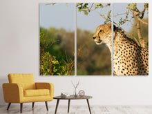 Laden Sie das Bild in den Galerie-Viewer, Leinwandbild 3-teilig Gepard in der Natur