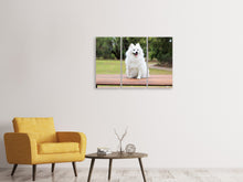 Laden Sie das Bild in den Galerie-Viewer, Leinwandbild 3-teilig Der Spitz als Junghund