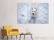 Laden Sie das Bild in den Galerie-Viewer, Leinwandbild 3-teilig Hunde Freude im Schnee