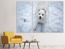 Laden Sie das Bild in den Galerie-Viewer, Leinwandbild 3-teilig Hunde Freude im Schnee