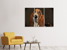Laden Sie das Bild in den Galerie-Viewer, Leinwandbild 3-teilig Typisch Basset