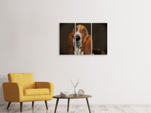 Laden Sie das Bild in den Galerie-Viewer, Leinwandbild 3-teilig Typisch Basset