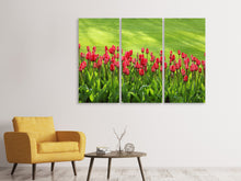 Laden Sie das Bild in den Galerie-Viewer, Leinwandbild 3-teilig Rotes Tulpenfeld im Sonnenlicht