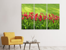 Laden Sie das Bild in den Galerie-Viewer, Leinwandbild 3-teilig Rotes Tulpenfeld im Sonnenlicht