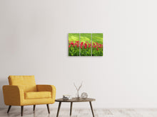 Laden Sie das Bild in den Galerie-Viewer, Leinwandbild 3-teilig Rotes Tulpenfeld im Sonnenlicht