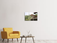 Laden Sie das Bild in den Galerie-Viewer, Leinwandbild 3-teilig Müder Leopard