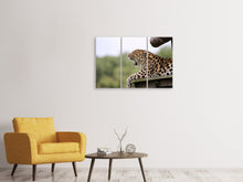 Laden Sie das Bild in den Galerie-Viewer, Leinwandbild 3-teilig Müder Leopard