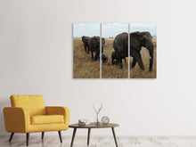Laden Sie das Bild in den Galerie-Viewer, Leinwandbild 3-teilig Elefanten Familie