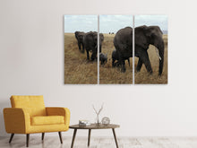 Laden Sie das Bild in den Galerie-Viewer, Leinwandbild 3-teilig Elefanten Familie