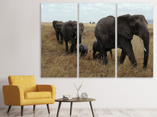 Laden Sie das Bild in den Galerie-Viewer, Leinwandbild 3-teilig Elefanten Familie