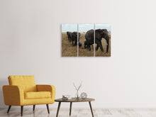 Laden Sie das Bild in den Galerie-Viewer, Leinwandbild 3-teilig Elefanten Familie