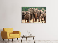 Laden Sie das Bild in den Galerie-Viewer, Leinwandbild 3-teilig Elefantenherde in Afrika