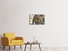 Laden Sie das Bild in den Galerie-Viewer, Leinwandbild 3-teilig Achtung Raubkatze !