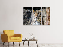 Laden Sie das Bild in den Galerie-Viewer, Leinwandbild 3-teilig Leopard auf der Lauer