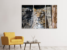 Laden Sie das Bild in den Galerie-Viewer, Leinwandbild 3-teilig Leopard auf der Lauer