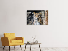 Laden Sie das Bild in den Galerie-Viewer, Leinwandbild 3-teilig Leopard auf der Lauer