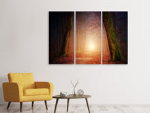 Laden Sie das Bild in den Galerie-Viewer, Leinwandbild 3-teilig Herbst im Wald