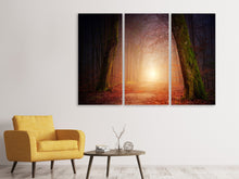 Laden Sie das Bild in den Galerie-Viewer, Leinwandbild 3-teilig Herbst im Wald