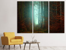 Laden Sie das Bild in den Galerie-Viewer, Leinwandbild 3-teilig Stimmung im Wald