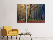 Laden Sie das Bild in den Galerie-Viewer, Leinwandbild 3-teilig Alleine im Wald