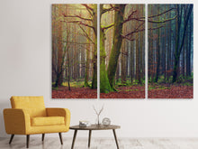 Laden Sie das Bild in den Galerie-Viewer, Leinwandbild 3-teilig Alleine im Wald