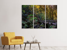 Laden Sie das Bild in den Galerie-Viewer, Leinwandbild 3-teilig Die Wald Brücke