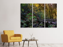Laden Sie das Bild in den Galerie-Viewer, Leinwandbild 3-teilig Die Wald Brücke