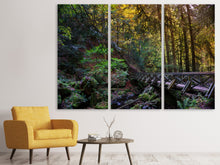 Laden Sie das Bild in den Galerie-Viewer, Leinwandbild 3-teilig Die Wald Brücke