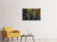 Laden Sie das Bild in den Galerie-Viewer, Leinwandbild 3-teilig Die Wald Brücke
