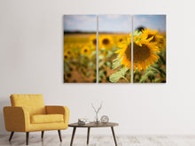 Laden Sie das Bild in den Galerie-Viewer, Leinwandbild 3-teilig Eine Sonnenblume im Feld