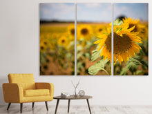 Laden Sie das Bild in den Galerie-Viewer, Leinwandbild 3-teilig Eine Sonnenblume im Feld