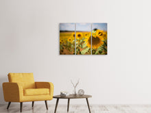 Laden Sie das Bild in den Galerie-Viewer, Leinwandbild 3-teilig Eine Sonnenblume im Feld