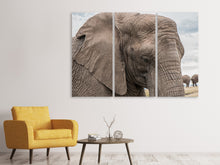 Laden Sie das Bild in den Galerie-Viewer, Leinwandbild 3-teilig XL Elefant